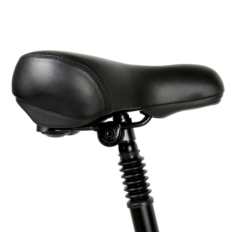 SAMEBIKE 20LVXD30-II