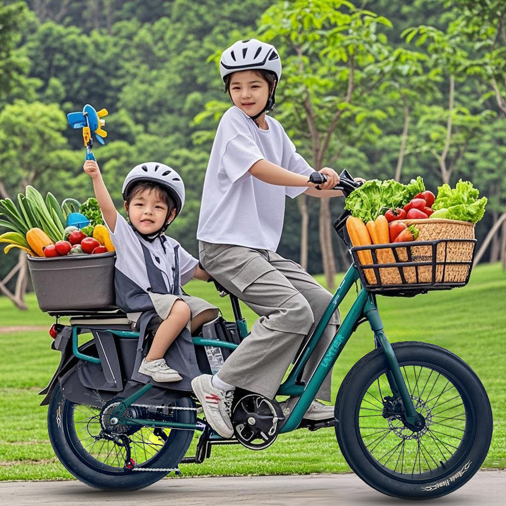 Lamtier K750 Cargo electric bike