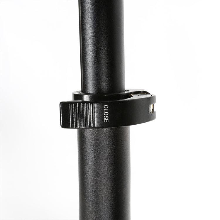 SAMEBIKE 20LVXD30-II