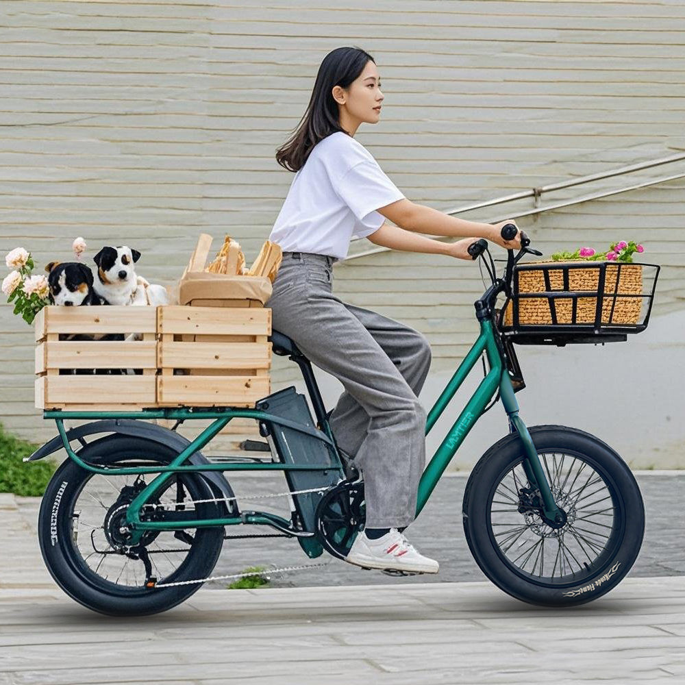 Lamtier K750 Cargo electric bike