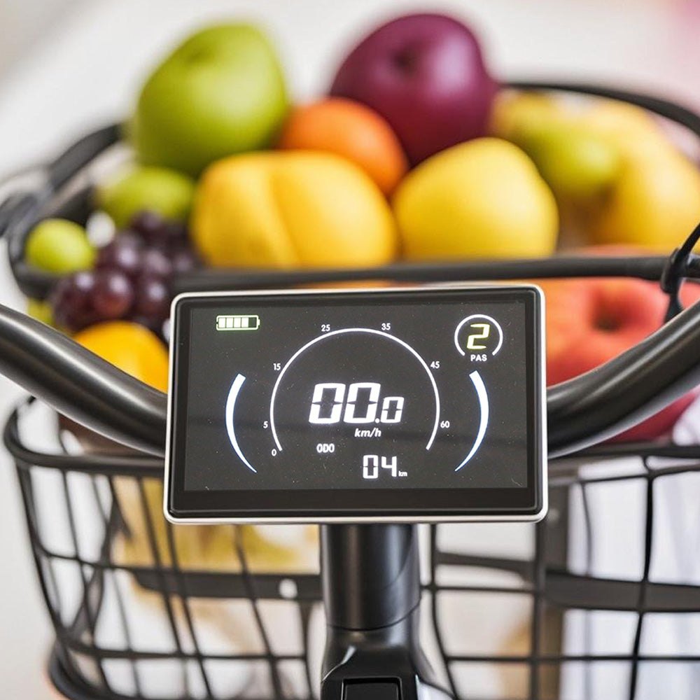 Lamtier K750 Cargo electric bike