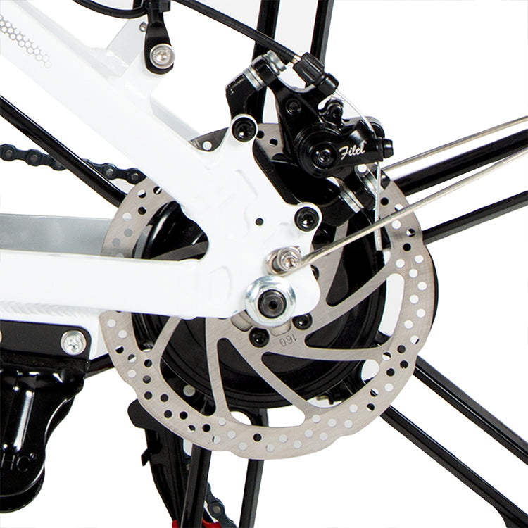 SAMEBIKE 20LVXD30-II