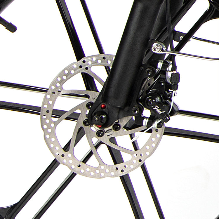 SAMEBIKE 20LVXD30-II