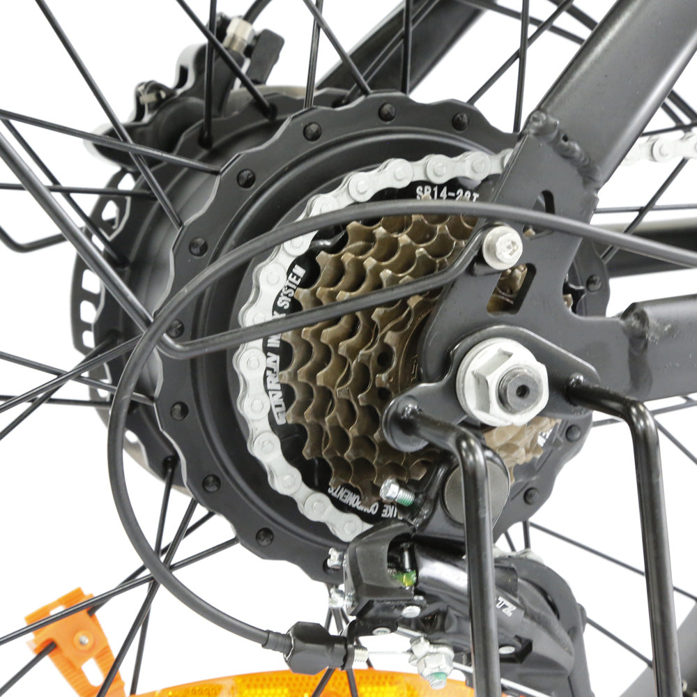 Lamtier K750 Cargo electric bike