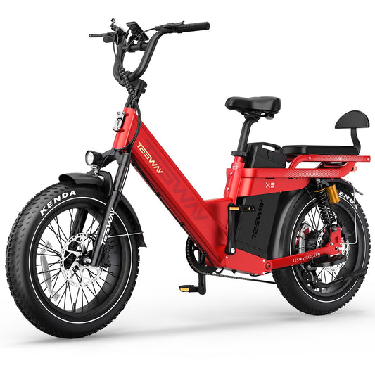 Tesway X5 Pro Pre-order