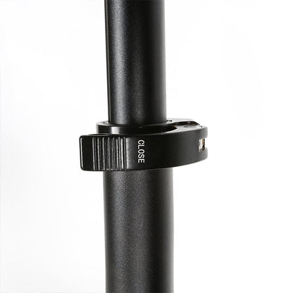 SAMEBIKE 20LVXD30-II