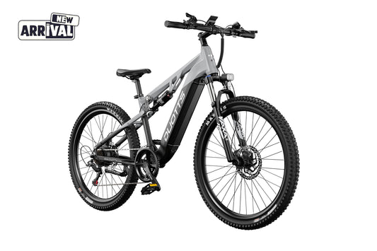 DUOTTS E29 Electric Bike