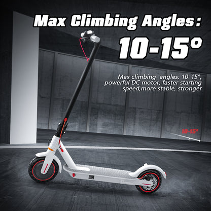 Lamtier T4 Pro Electric Scooter