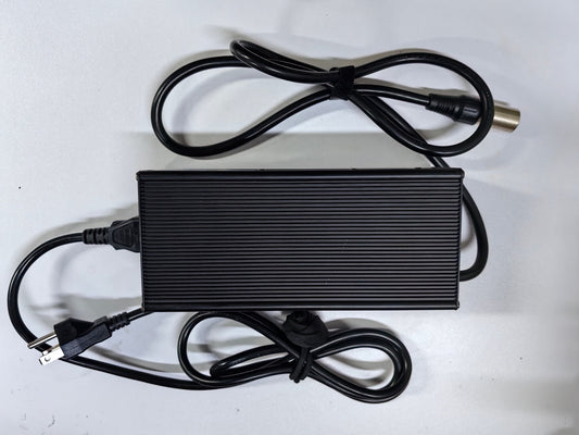 TESWAY Battery Charger