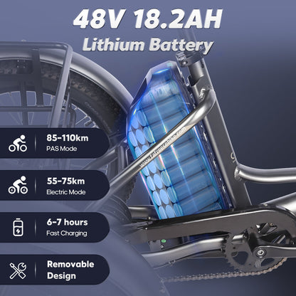 [EU] FAFREES F20 MATE Foldable Fat Tire Electric Tricycle
