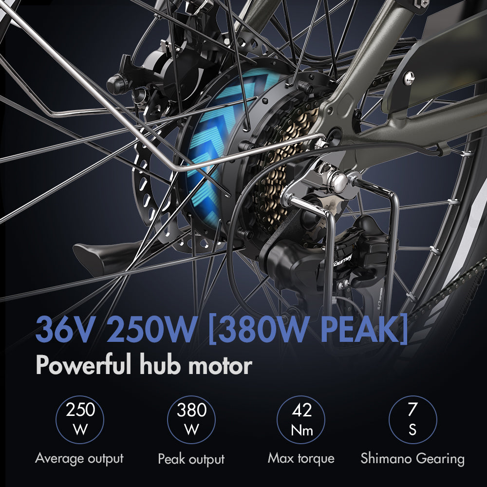 [EU]FAFREES F26 Pro City Electric Bike