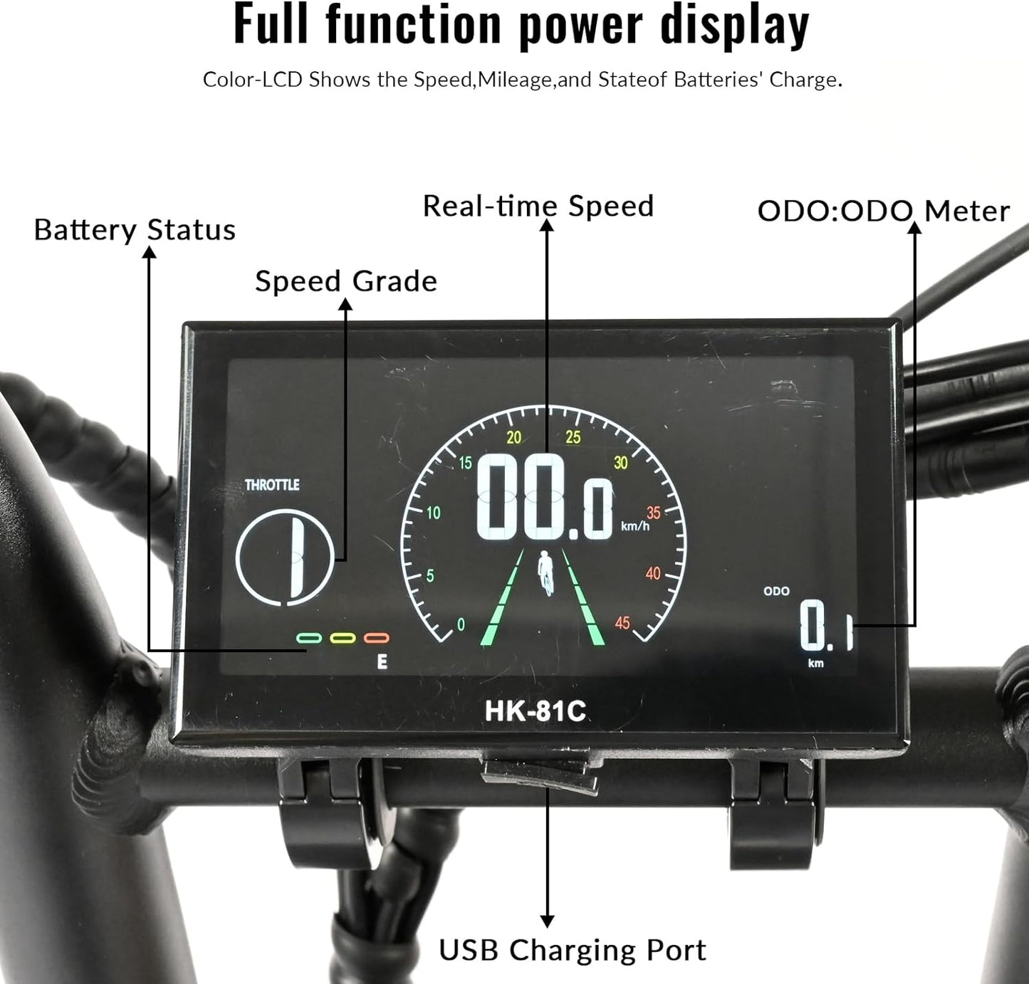 BAOLUJIE PLJ2033 Step-Thru Electric Cargo Bike Combo