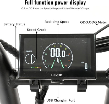 BAOLUJIE PLJ2033 Step-Thru Electric Cargo Bike Combo