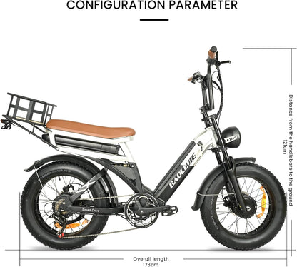 BAOLUJIE PLJ2033 Step-Thru Electric Cargo Bike Combo