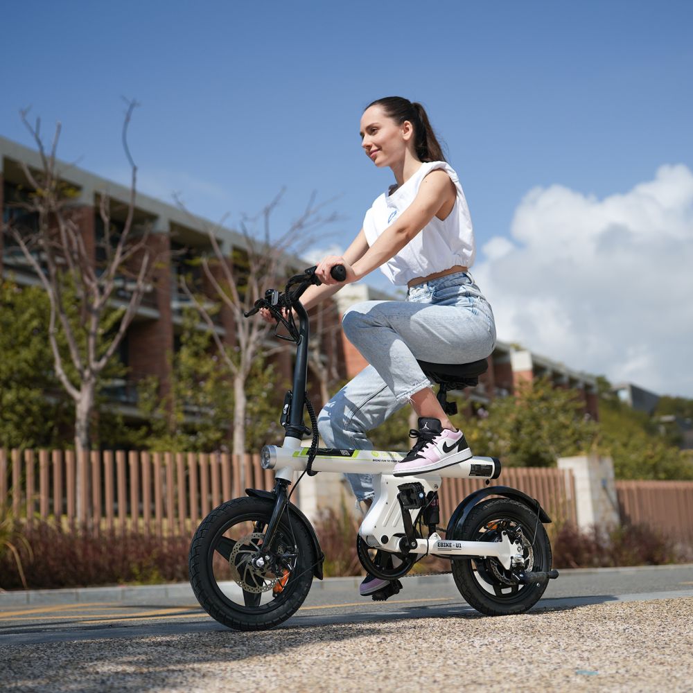 ISINWHEEL U1 14 Folding Electric Bike 500W Motor 36V 7.8Ah Battery