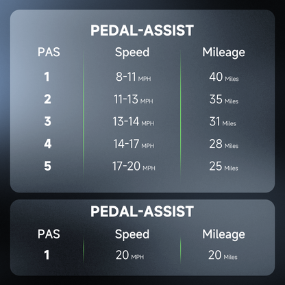 ISINWHEEL U5 20 Folding Electric Bike 500W Motor 48V 7.8Ah Battery