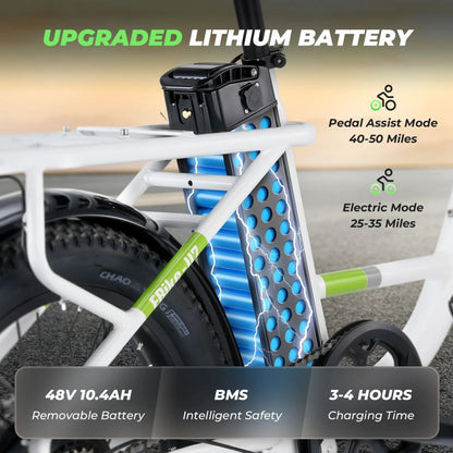 ISINWHEEL U7 20 Step-Thru Cargo Electric Bike 500W Motor 48V 10.4Ah Battery