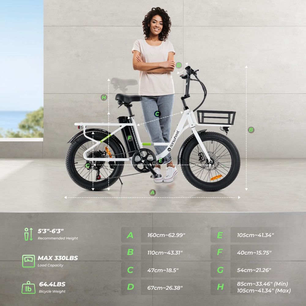 ISINWHEEL U7 20 Step-Thru Cargo Electric Bike 500W Motor 48V 10.4Ah Battery