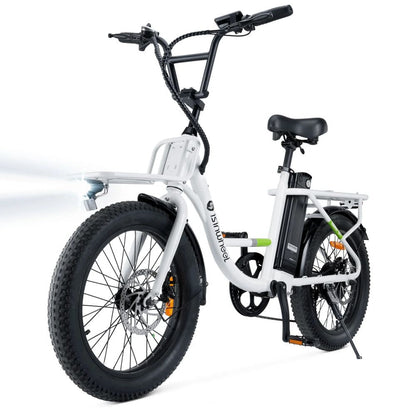 ISINWHEEL U7 20 Step-Thru Cargo Electric Bike 500W Motor 48V 10.4Ah Battery