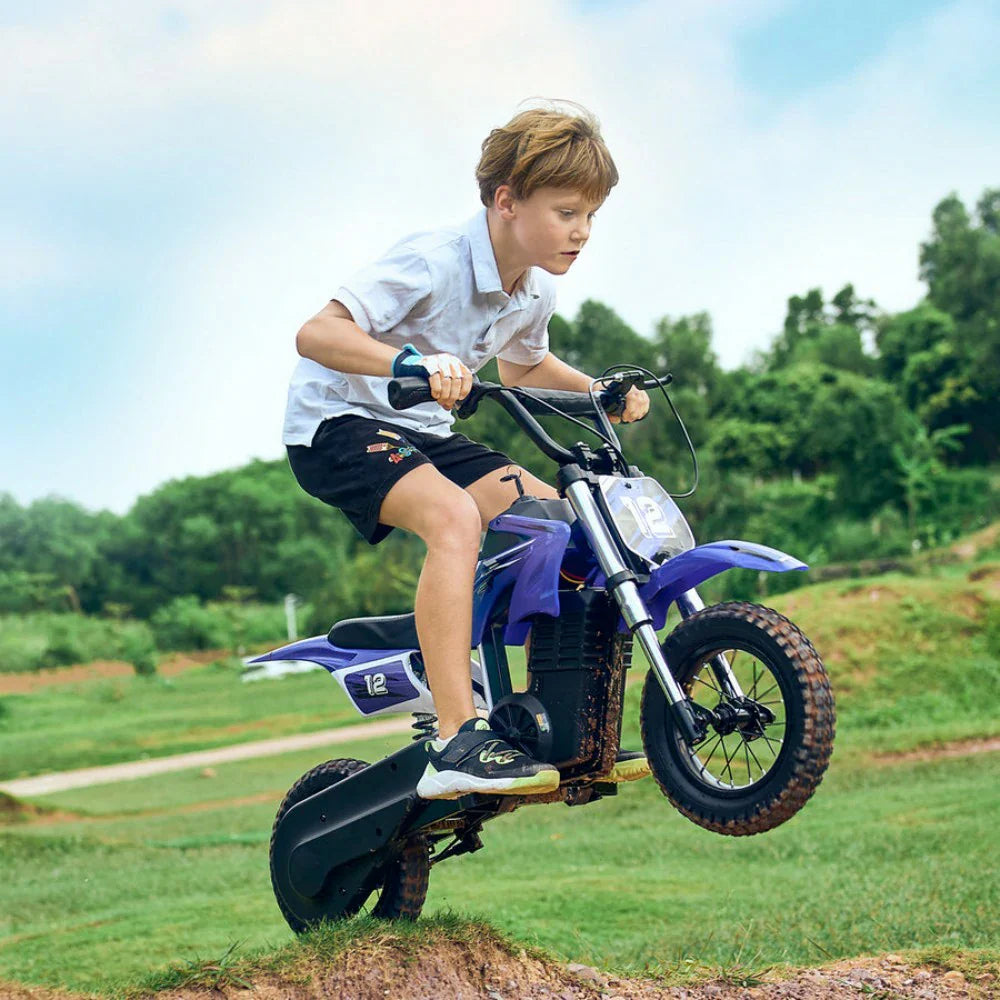 ISINWHEEL A12 12 Electric Dirt Motorbike For Kids 350W Motor 36V 5.2Ah Battery