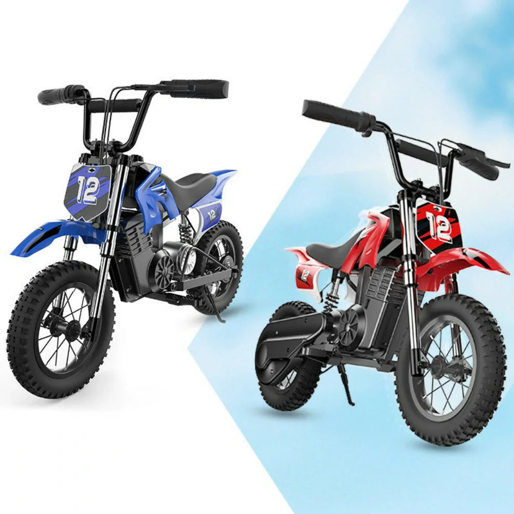 ISINWHEEL A12 12 Electric Dirt Motorbike For Kids 350W Motor 36V 5.2Ah Battery