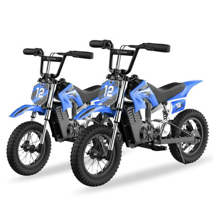 ISINWHEEL A12 12 Electric Dirt Motorbike For Kids 350W Motor 36V 5.2Ah Battery