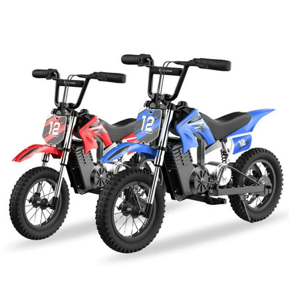 ISINWHEEL A12 12 Electric Dirt Motorbike For Kids 350W Motor 36V 5.2Ah Battery
