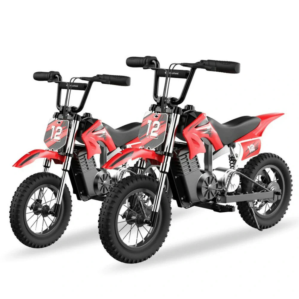 ISINWHEEL A12 12 Electric Dirt Motorbike For Kids 350W Motor 36V 5.2Ah Battery