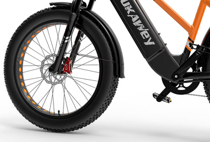 LANKELEISI Dukawey DM530 Plus