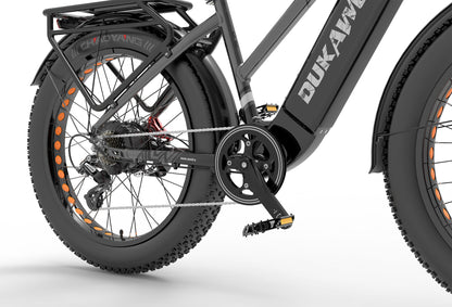 LANKELEISI Dukawey DM530 Plus