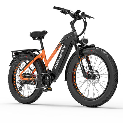 LANKELEISI Dukawey DM530 Plus