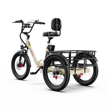 Onesport OT30 Pro E-Trike