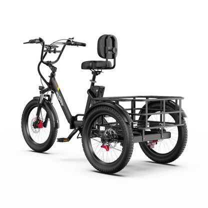 Onesport OT30 Pro E-Trike