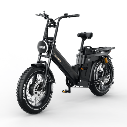 TESWAY X5 AWD Step-Thru E-Bike – Easy Mount 3000W Dual Motor