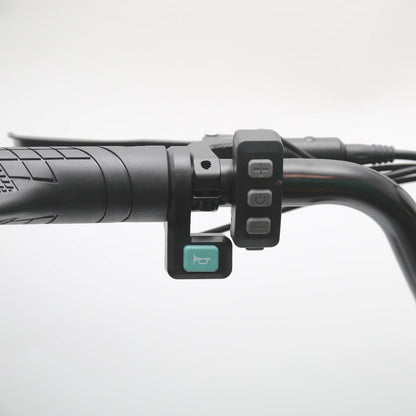 EMOKO C93 20 Fat Tire Electric Off-Road Bike 1000w Motor 48V 20Ah Battery