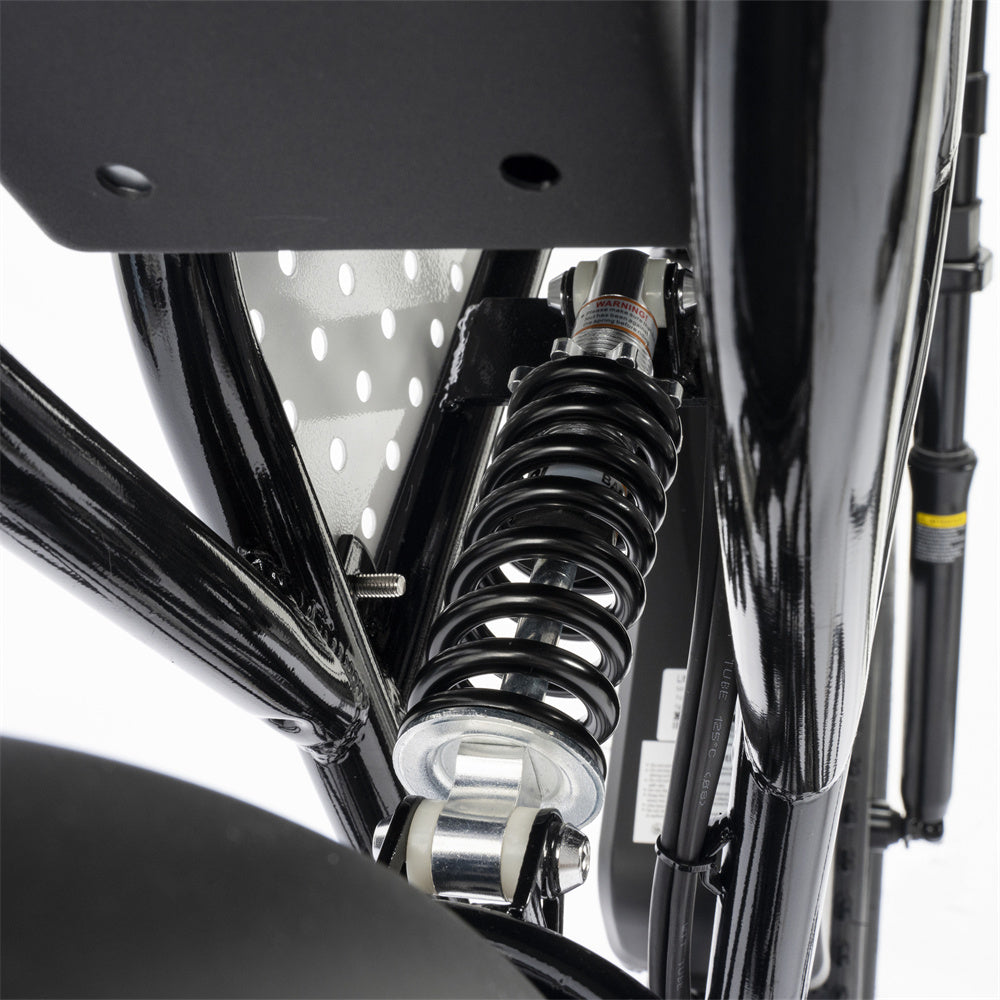 RIDSTAR Q20 Lite Electric Dirt Bikes Combo